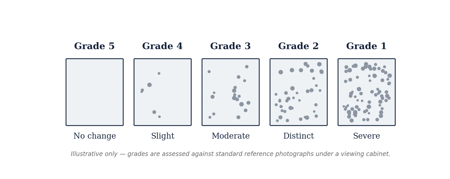 Illustrative pilling grade scale from grade 5 (no change) to grade 1 (severe pilling covering the whole surface)